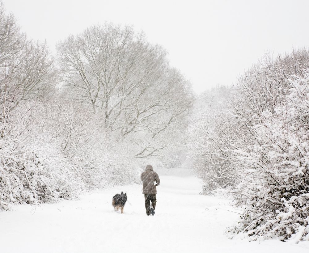 Doggy, It's Cold Outside